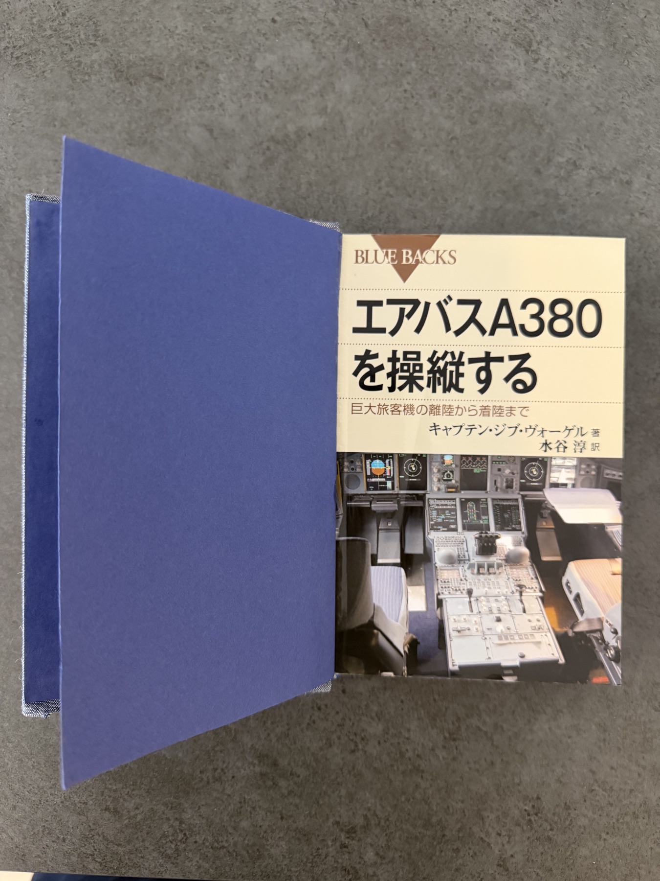 筆者が実際に所有している『エアバスA380を操縦する』